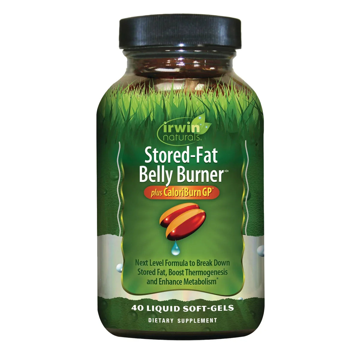 Stored-Fat Belly Burner plus CaloriBurn GP