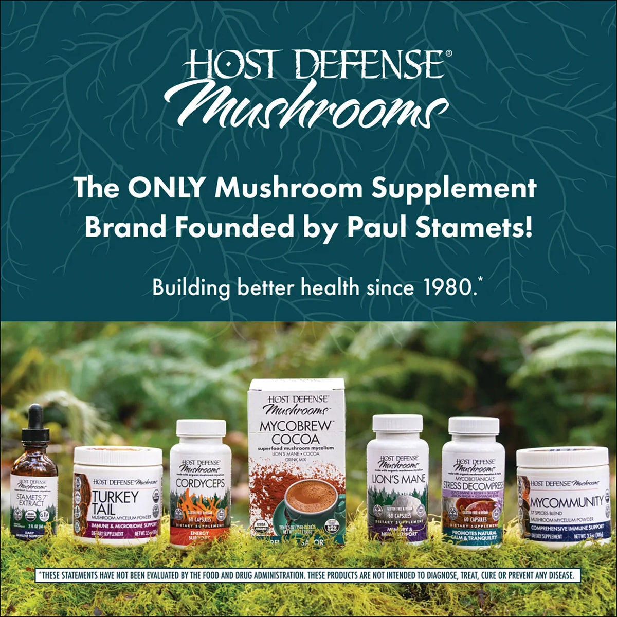 MycoBrew Cocoa